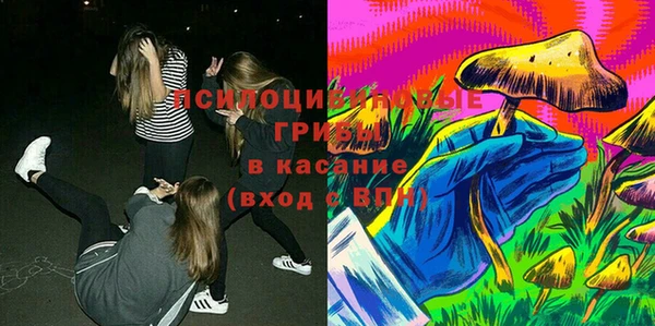 мескалин Богданович
