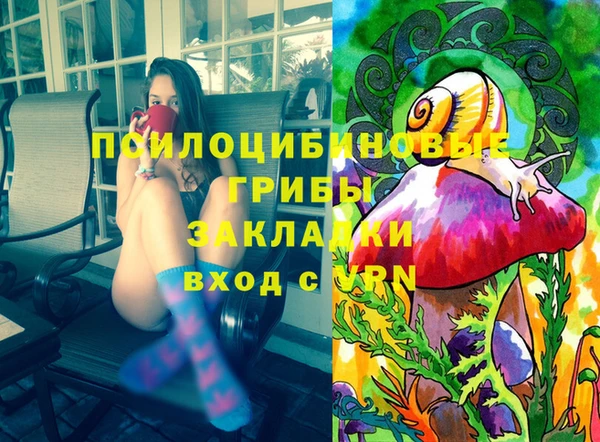 меф Богородицк