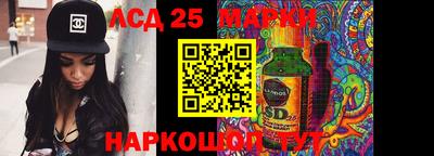 стафф Будённовск