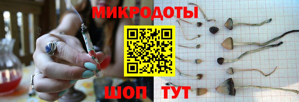 Псилоцибиновые грибы ЛСД Гай