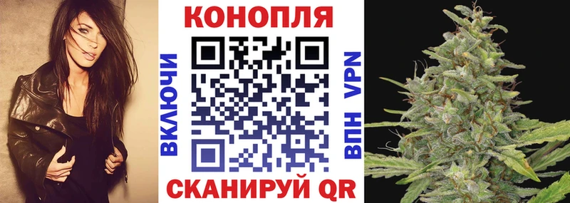 Бошки Шишки план  Гай 
